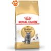 Royal Canin FBN Cat Adult British Shorthair - Sacco Da 2 Kg
