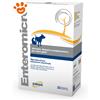 DRN Dog&Cat Enteromicro - Confezione Da 32 Compresse