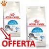 Royal Canin FHN Cat Home Life Indoor - Offerta [PREZZO A CONFEZIONE] Quantità Minima 2, Sacco Da 10 Kg