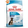 Royal Canin Dog SHN Maxi Puppy - Sacco Da 15 Kg