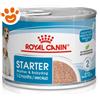 Royal Canin Dog Starter Mousse Mother & Babydog - Lattina Da 195 Gr