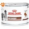 Royal Canin Dog&Cat VHN Recovery - Lattina Da 195 Gr