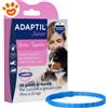 Ceva Dog Adaptil Junior (37cm) - Confezione Da 1 Collare