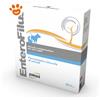 DRN Dog&Cat Enterofilus Fiale - Confezione Da 36 Pezzi