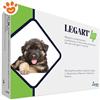 Aurora Biofarma Dog Legart Up - Confezione Da 120 Compresse
