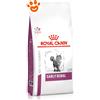 Royal Canin Cat Veterinary Diet Early Renal - Sacco Da 1,5 Kg