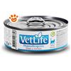 Farmina Cat Vet Life Hypoallergenic Maiale e Patate - Lattina Da 85 Gr