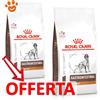 Royal Canin Dog VHN GastroIntestinal Low Fat - Offerta [PREZZO A CONFEZIONE] Quantità Minima 2, Sacco Da 12 Kg
