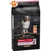 Purina Dog Pro Plan Adult Medium Salmone - Sacco Da 14 Kg
