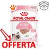 Royal Canin FHN Cat Kitten in Paté - Bustina Da 85 Gr - CONFEZIONE RISPARMIO