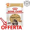 Royal Canin FBN Cat Adult Maine Coon - Bustina Da 85 Gr - CONFEZIONE RISPARMIO