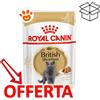 Royal Canin FBN Cat Adult British Shorthair - Bustina Da 85 Gr - CONFEZIONE RISPARMIO