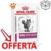 Royal Canin Cat Veterinary Diet Renal Pollo - Bustina Da 85 Gr - CONFEZIONE RISPARMIO