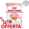 Royal Canin FHN Cat Kitten in Gelatina - Bustina Da 85 Gr - CONFEZIONE RISPARMIO
