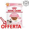 Royal Canin FHN Cat Kitten in Salsa - Bustina Da 85 Gr - CONFEZIONE RISPARMIO