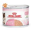 Royal Canin Cat Mother & BabyCat - Lattina Da 195 Gr - CONFEZIONE RISPARMIO