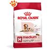 Royal Canin SHN Dog Medium Ageing 10+ - Sacco Da 15 Kg