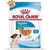 Royal Canin Dog Mini Puppy - Bustina Da 85 Gr - CONFEZIONE RISPARMIO