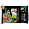 Sheba Cat Nature's Collection Selezione Assortita In Gravy con Pollo, Tacchino, Tonno e Salmone - Confezione Da 4x85 Gr