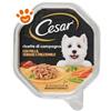 Cesar Dog Ricette di Campagna con Pollo e Verdurine in Salsa - Vaschetta Da 150 Gr - CONFEZIONE RISPARMIO