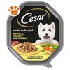 Cesar Dog Scelta dello Chef con Pollo e Riso Integrale - Vaschetta Da 150 Gr - CONFEZIONE RISPARMIO