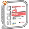 DRN Dog & Cat SOLO Salmone - Vaschetta Da 300 Gr