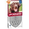 Elanco Dog Advantix Spot-On (25-40kg) - Offerta [PREZZO A CONFEZIONE] Quantità minima 2, Confezione da 6 Pipette