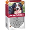 Elanco Dog Advantix Spot-On (40-60kg) - Offerta [PREZZO A CONFEZIONE] Quantità minima 2, Confezione da 6 Pipette
