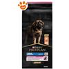 Purina Dog Pro Plan Adult Large Robust Salmone - Sacco Da 14 Kg