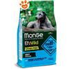 Monge Dog Bwild Grain Free Adult All Breeds Acciughe Patate e Piselli - Offerta [PREZZO A CONFEZIONE] Quantità Minima 2, Sacco Da 12 Kg