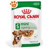 Royal Canin SHN Dog Mini Ageing 8+ - Bustina Da 85 Gr - CONFEZIONE RISPARMIO