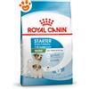 Royal Canin Dog SHN Mini Starter Mother & Babydog - Offerta [PREZZO A CONFEZIONE] Quantità Minima 2, Sacco Da 8 Kg