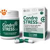 Innovet Cat Condrostress (+) - Confezione Da 30 Compresse