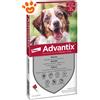 Elanco Dog Advantix Spot-On (10-25kg) - Offerta [PREZZO A CONFEZIONE] Quantità minima 2, Confezione da 4 Pipette