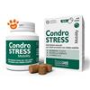 Innovet Dog Condrostress Mobility - Offerta [PREZZO A CONFEZIONE] Quantità minima 2, Confezione Da 90 Chews