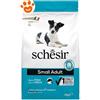 Schesir Dog Small Adult Ricco in Pesce - Sacco Da 2 Kg