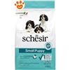 Schesir Dog Small Puppy Ricco in Pollo - Sacco Da 2 Kg