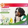 Beaphar Dog Protezione Naturale Spot-On Taglia Grande > 30 Kg - Offerta [PREZZO A CONFEZIONE] Quantità minima 4, Confezione da 6 Pipette