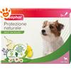 Beaphar Dog Protezione Naturale Spot-On Taglia Piccola < 15 Kg - Offerta [PREZZO A CONFEZIONE] Quantità minima 2, Confezione da 3 Pipette