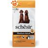 Schesir Dog Medium Adult Ricco in Pollo - Sacco Da 12 Kg