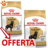 Royal Canin Dog BHN Adult Rottweiler - Offerta [PREZZO A CONFEZIONE] Quantità Minima 2, Sacco Da 12 Kg