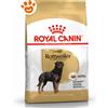Royal Canin Dog BHN Adult Rottweiler - Sacco Da 12 Kg