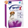 Formevet Dog Fipratix (10-20Kg) - Offerta [PREZZO A CONFEZIONE] Quantità minima 2, Confezione da 4 Pipette