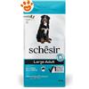 Schesir Dog Large Ricco in Pesce - Sacco Da 12 Kg