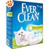 Everclean Spring Garden - Confezione Da 6 Lt - CONFEZIONE RISPARMIO
