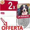 Elanco Dog Advantix Spot-On (40-60kg) - Offerta [PREZZO A CONFEZIONE] Quantità minima 2, Confezione da 4 Pipette