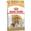 Royal Canin Dog Adult Cavalier King Charles - Offerta [PREZZO A CONFEZIONE] Quantità Minima 2, Sacco Da 7,5 Kg