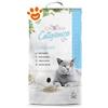 Record Cat&Rina Catigienica Lettiera in Carta - Sacco Da 12 Lt - CONFEZIONE RISPARMIO