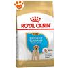 Royal Canin Dog BHN Puppy Labrador - Offerta [PREZZO A CONFEZIONE] Quantità Minima 2, Sacco Da 12 Kg