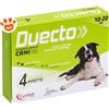 Candioli Dog Duecto Spot-On (10-20kg) - Offerta [PREZZO A CONFEZIONE] Quantità minima 4, Confezione da 4 Pipette